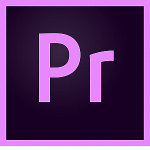 Adobe Premiere Pro for teams Commercial - 1 metų prenumerata Adobe Premiere Pro for teams Commercial - 1 metų prenumerata