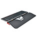 CONTOUR RollerMouse Red Plus Wireless CONTOUR RollerMouse Red Plus Wireless