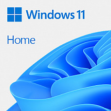 MS 1x Windows 11 Home 64-Bit DVD OEM English International (EN)