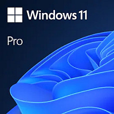 MS ESD Windows Professional 11 64-bit All Languages Online Product Key License 1 License Downloadable ESD NR